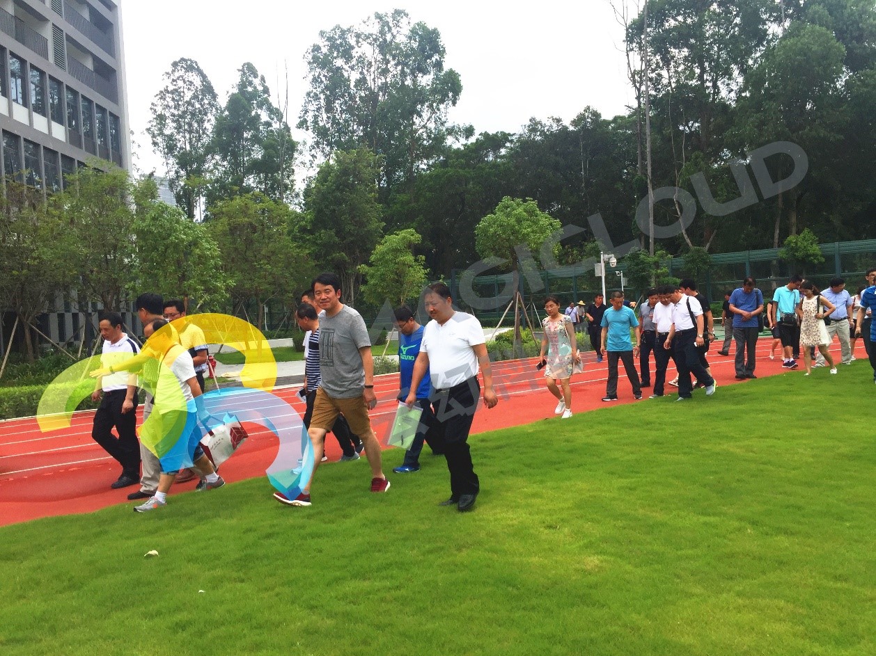 1521793471440340.jpg 1521793471440340.jpg