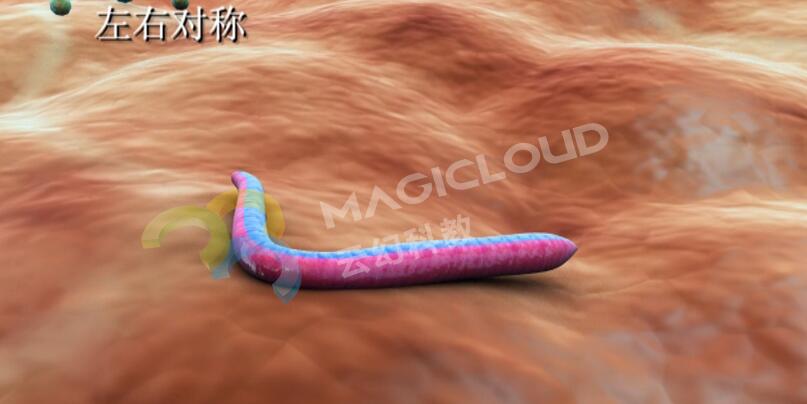 1522310661534178.jpg QQ截圖20180329160226.jpg