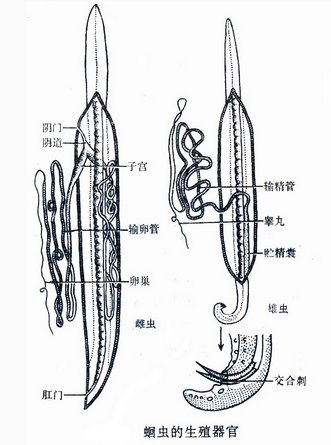 1522310677430250.png 3.png