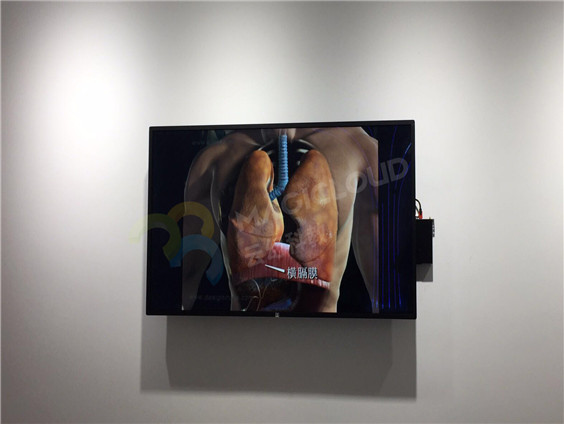 上海市七寶中學(xué)