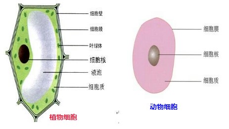 1531444520464299.jpg 1.jpg