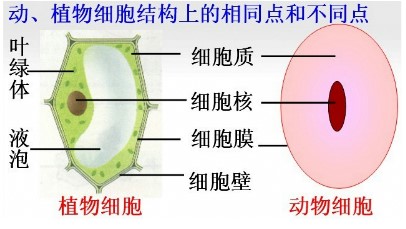 1531444651177854.jpg 6.jpg