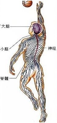 1531876945336222.jpg 1.jpg