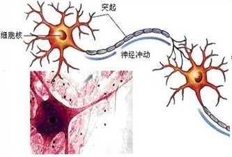 1531876960199854.jpg 2.jpg