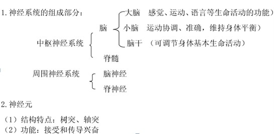 1531876995552892.jpg 4.jpg