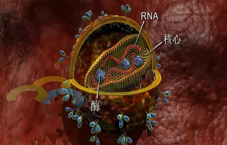 1532568259906821.jpg 1532568259906821.jpg