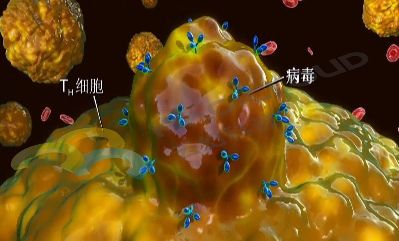 1532568282207301.jpg 1532568282207301.jpg