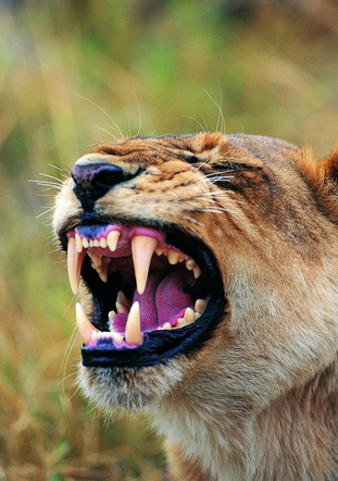 1533259600874595.png 1533259600874595.png