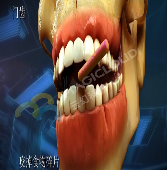 1533259734917206.png 1533259734917206.png