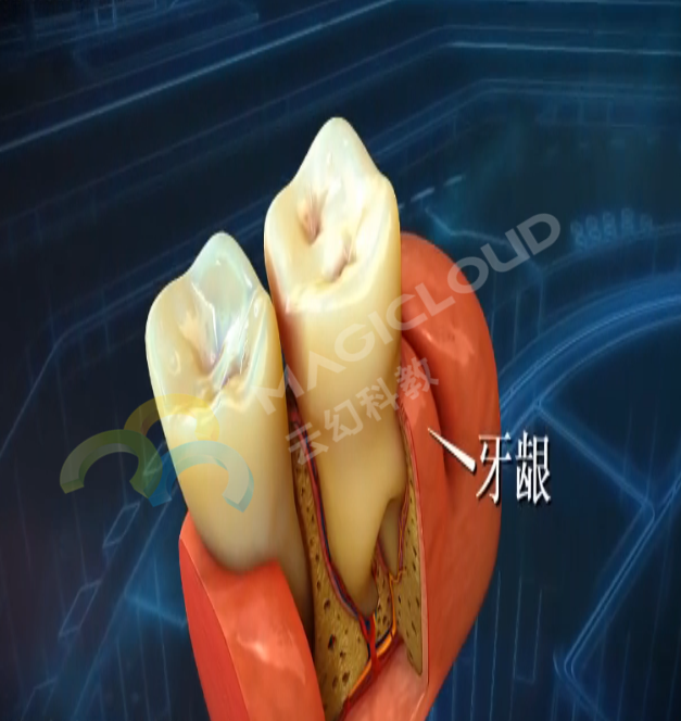 1533259767398528.png 1533259767398528.png