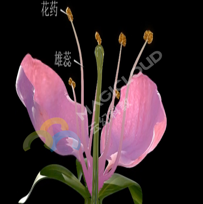 1533518101202770.png 1533518101202770.png