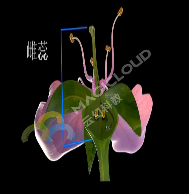 1533518138265139.png 1533518138265139.png