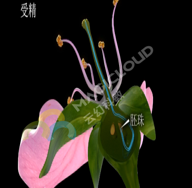 1533518237579270.png 1533518237579270.png