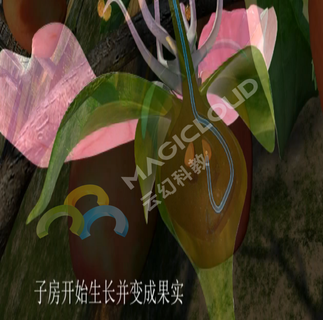 1533518272800389.png 1533518272800389.png