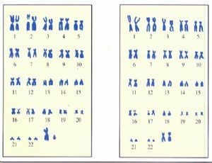 1534123530457781.jpg 1.jpg