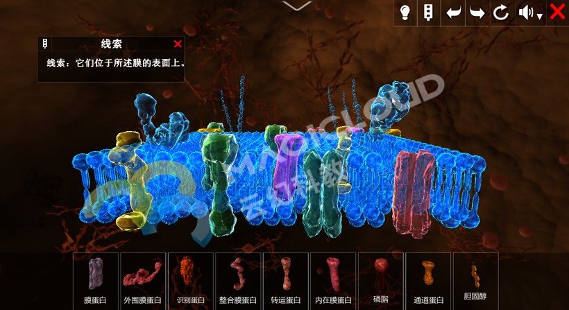 1534816848788672.jpg 2-副.jpg