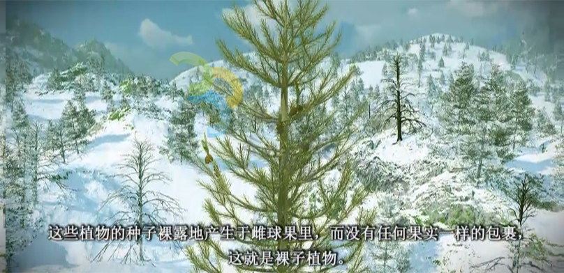 1534996389463432.png 1534996389463432.png