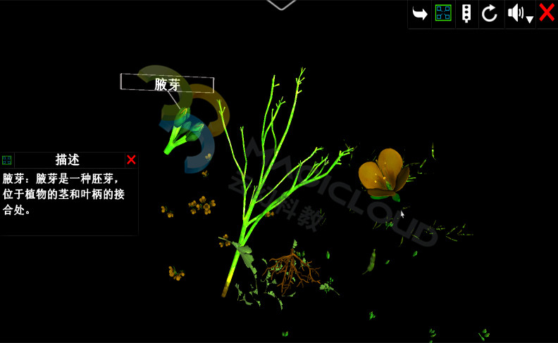 1534996449995511.jpg 1534996449995511.jpg