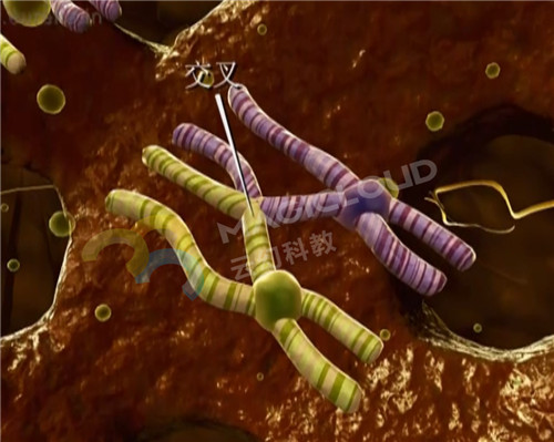 1535937641860738.jpg 1_副本.jpg