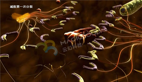 1535937700383658.jpg 2_副本.jpg