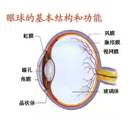 1536115008538702.jpg 1.jpg