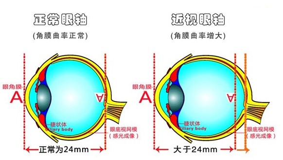 1536115044908417.jpg 3.jpg