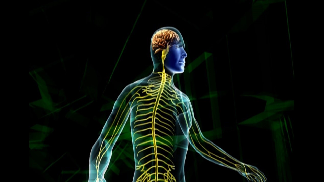 1536801412951383.jpg 1536801412951383.jpg