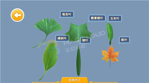 1539567769604503.jpg 6_副本.jpg