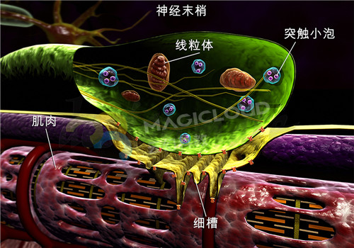 1545200037154890.jpg 2_副本.jpg