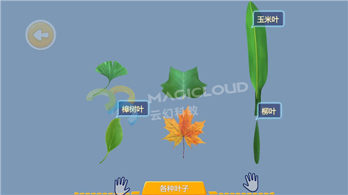 1551662751419060.jpg 5_副本.jpg