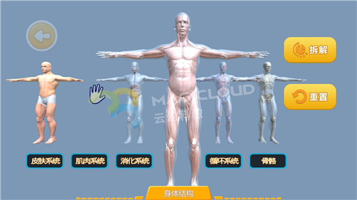 1551662776962876.jpg 7_副本.jpg