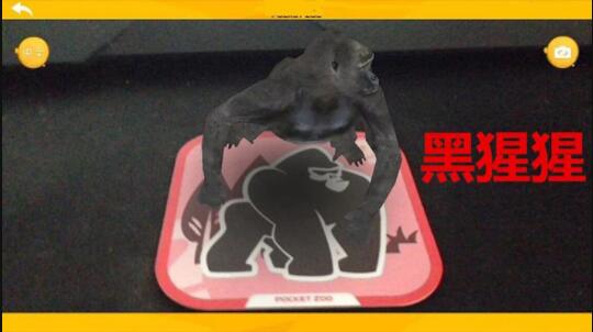 1559525849399023.jpg 1.jpg