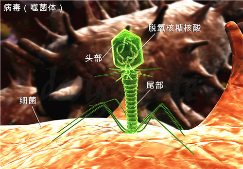 1590137366182805.jpg 39.jpg