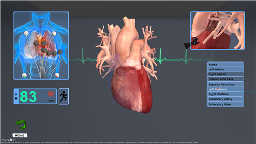 1590137484549749.png 52.png