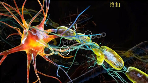 1591839980157376.jpg 11_副本.jpg