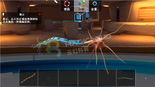 1591839995867867.jpg 11-1_副本.jpg