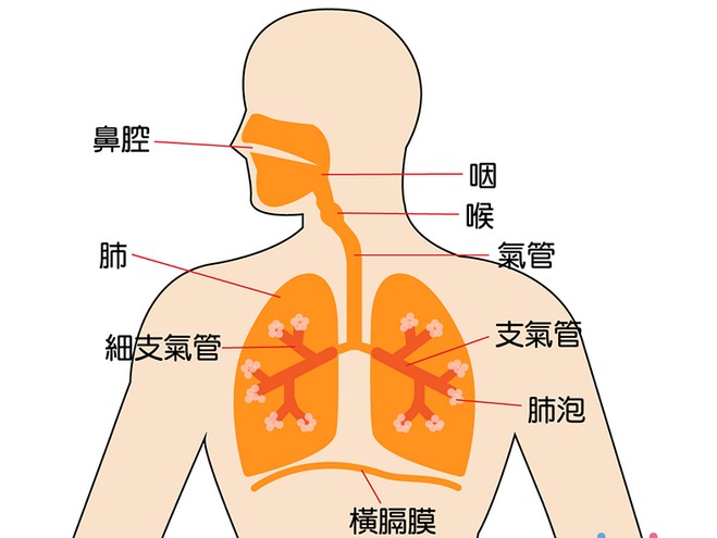 1594360437736097.jpg 1.jpg