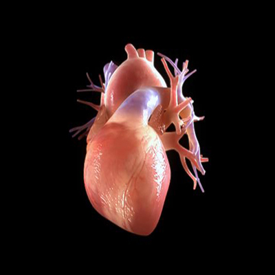 1595385744617127.jpg 封面圖片.jpg