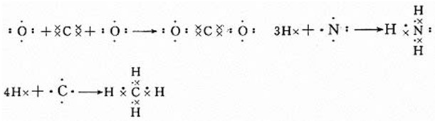 1595550918134104.jpg 2.jpg