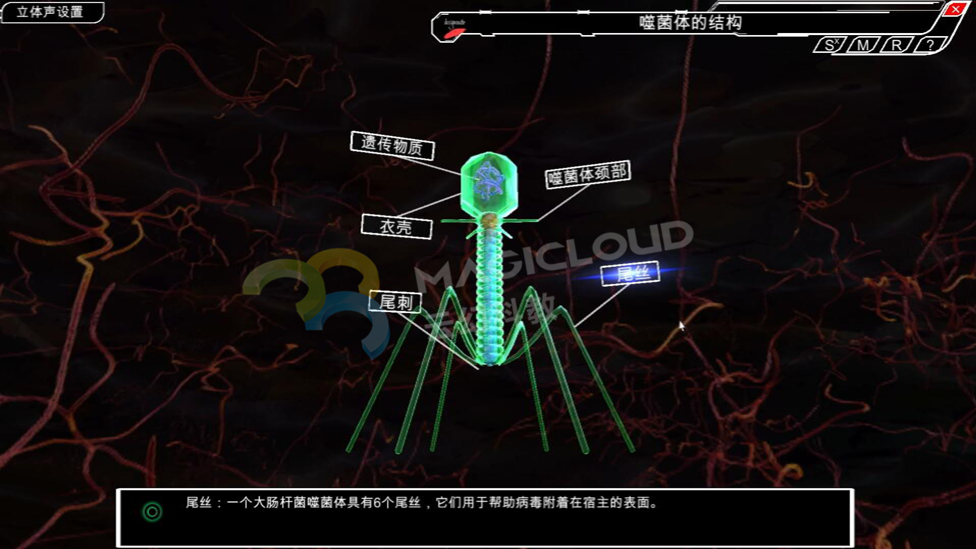 1595810372244100.jpg 6_副本.jpg