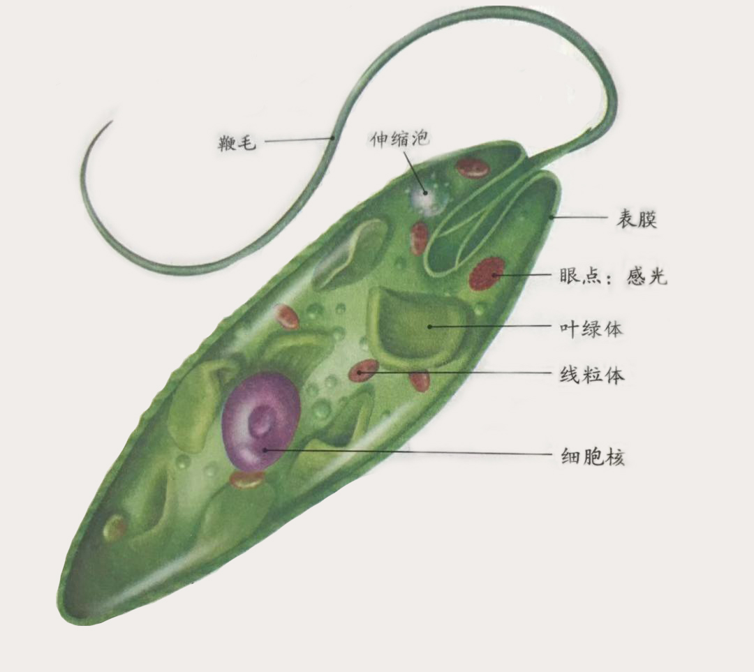 1597366601260127.jpg 1597366601260127.jpg