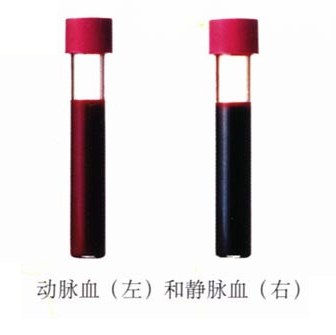 1598316752842794.jpg 3.jpg