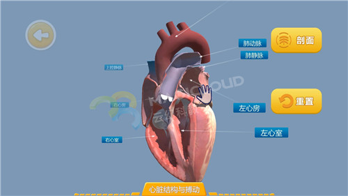 1598316797530995.jpg 6_副本.jpg