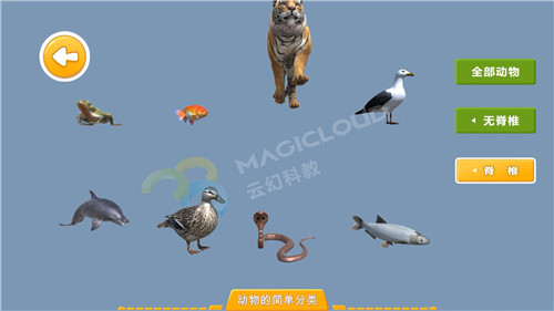 1598575633471749.jpg 3_副本.jpg