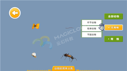 1598575642387703.jpg 4_副本.jpg