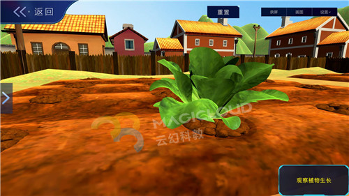 1605237920423614.jpg 19.jpg