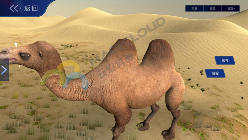 1701414253230979.png 圖片1_副本.png