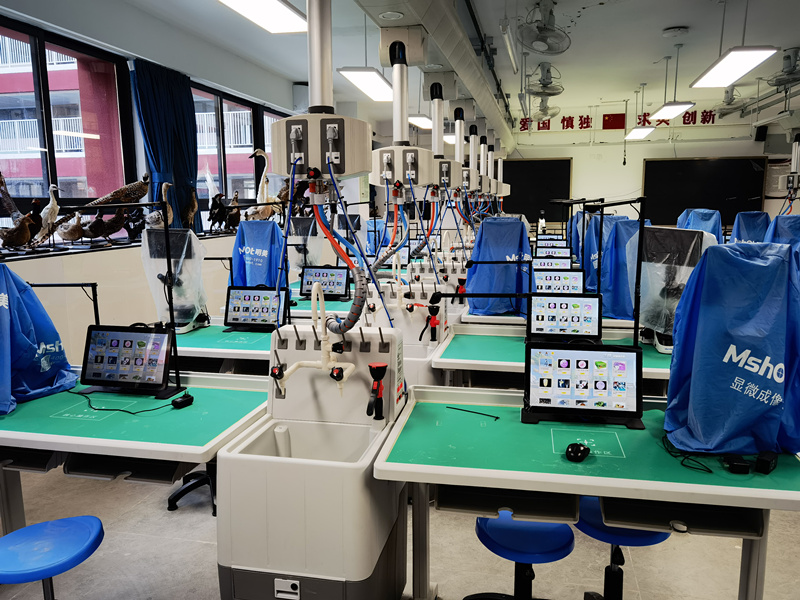 1715589576855661.jpg 1715589576855661.jpg