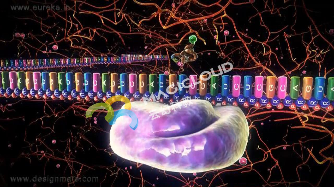 1733118888781550.png 1733118888781550.png