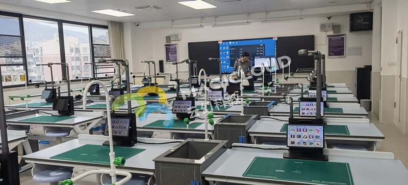 深圳市鹽田山海學校